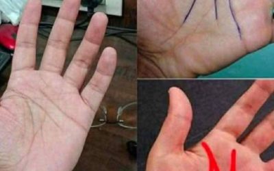 Cosa rivela la “M” sul palmo della tua mano riguardo all’amore?