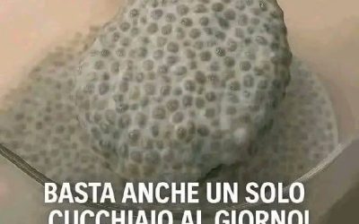 Semi di chia 10 motivi utili per includerli più spesso nella tua dieta