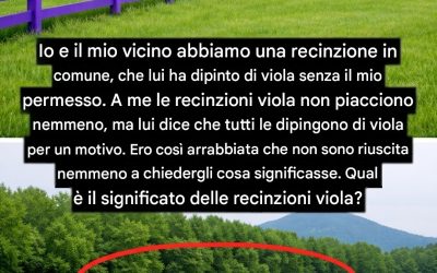 Se vedi una recinzione dipinta di viola, ecco cosa significa