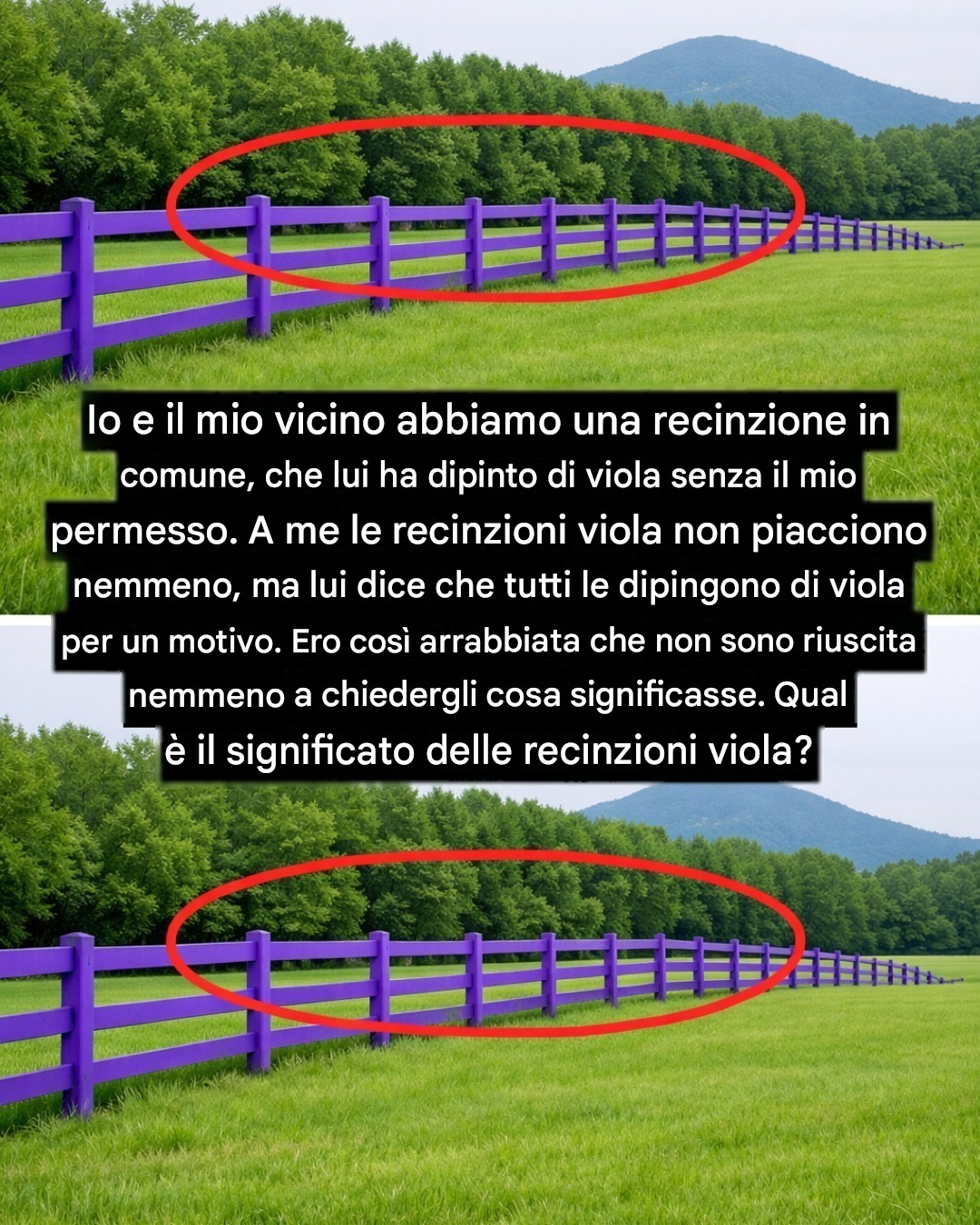 Se vedi una recinzione dipinta di viola, ecco cosa significa