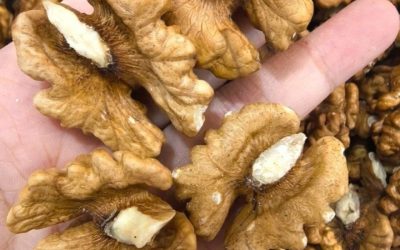 I medici rivelano che mangiare noci provoca notevoli cambiamenti nel cervello e nel corpo