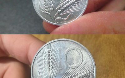 Quanto valgono le 10 lire con la spiga: la moneta che può valere una fortuna