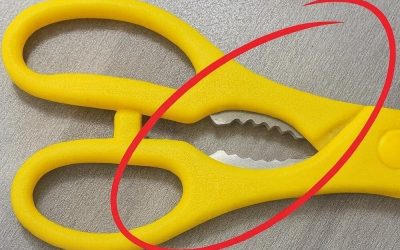 Quella strana parte dentellata sulle tue forbici da cucina? In realtà è un ingegnoso strumento nascosto.