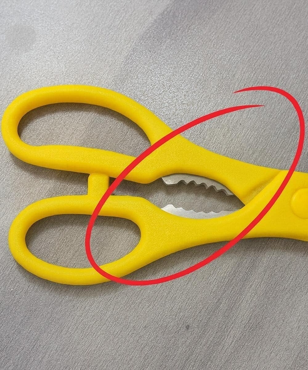 Quella strana parte dentellata sulle tue forbici da cucina? In realtà è un ingegnoso strumento nascosto.