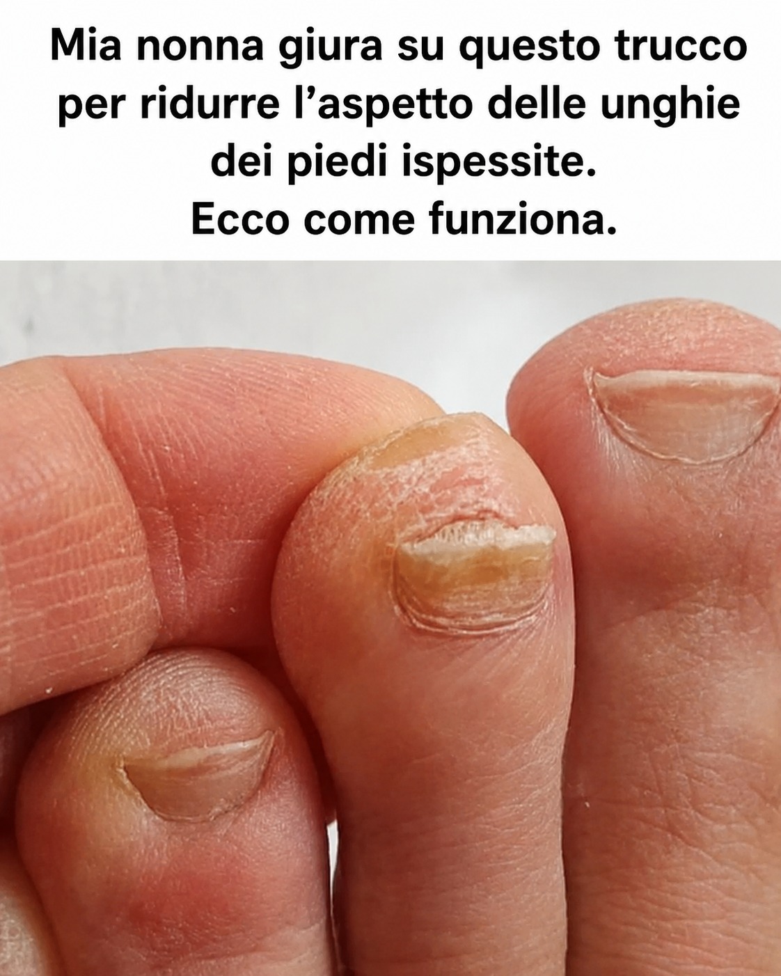 Buonissimo! Grazie nonna!