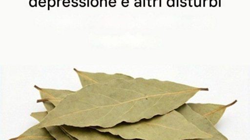 Una ricetta a base di foglie di alloro, tradizionalmente utilizzata per alleviare l’insonnia, il diabete, l’artrite, la cistite, i dolori addominali e i disturbi dell’umore.