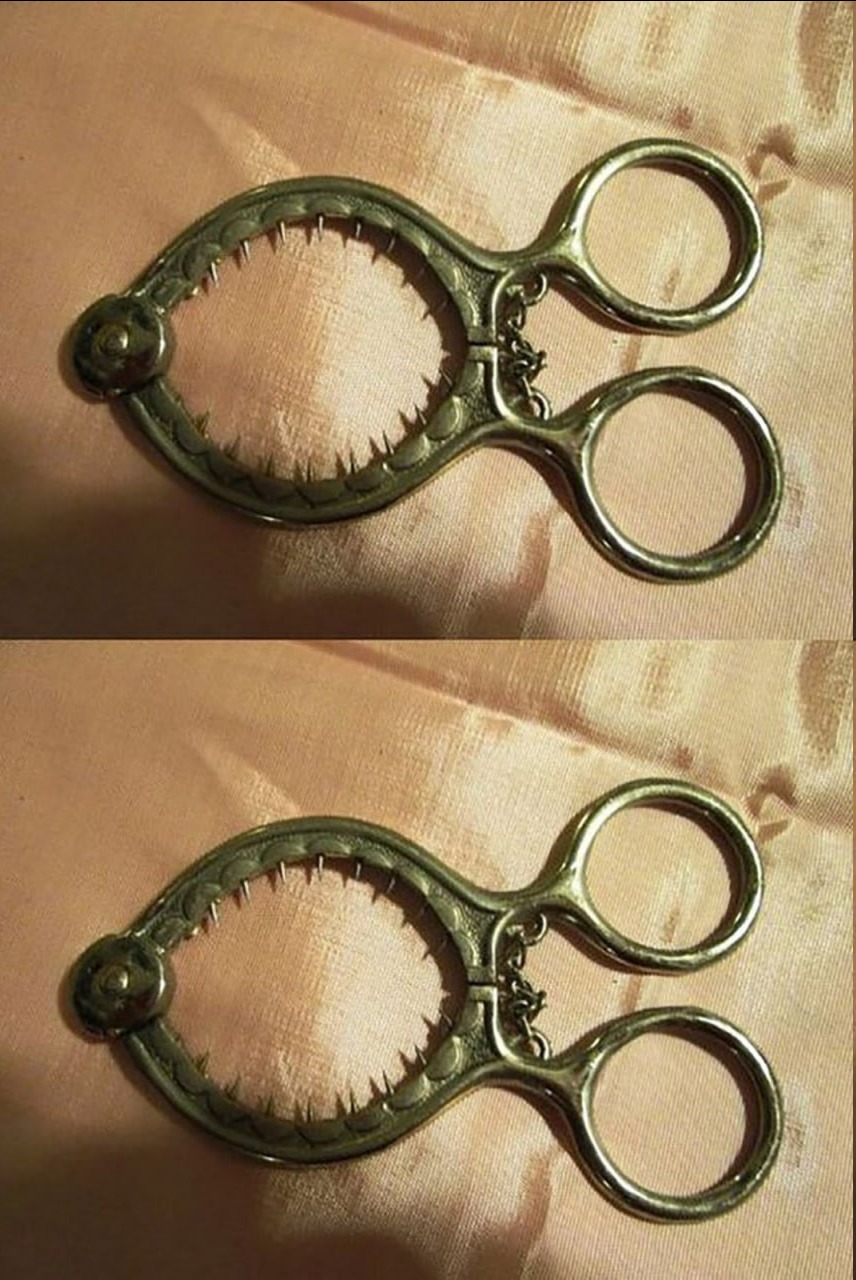 Ma qual è lo scopo di questo oggetto?