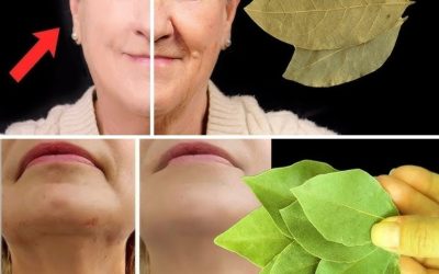 L’alloro è 100.000 volte più potente del Botox? | Un rimedio naturale contro le rughe, anche a 70 anni!