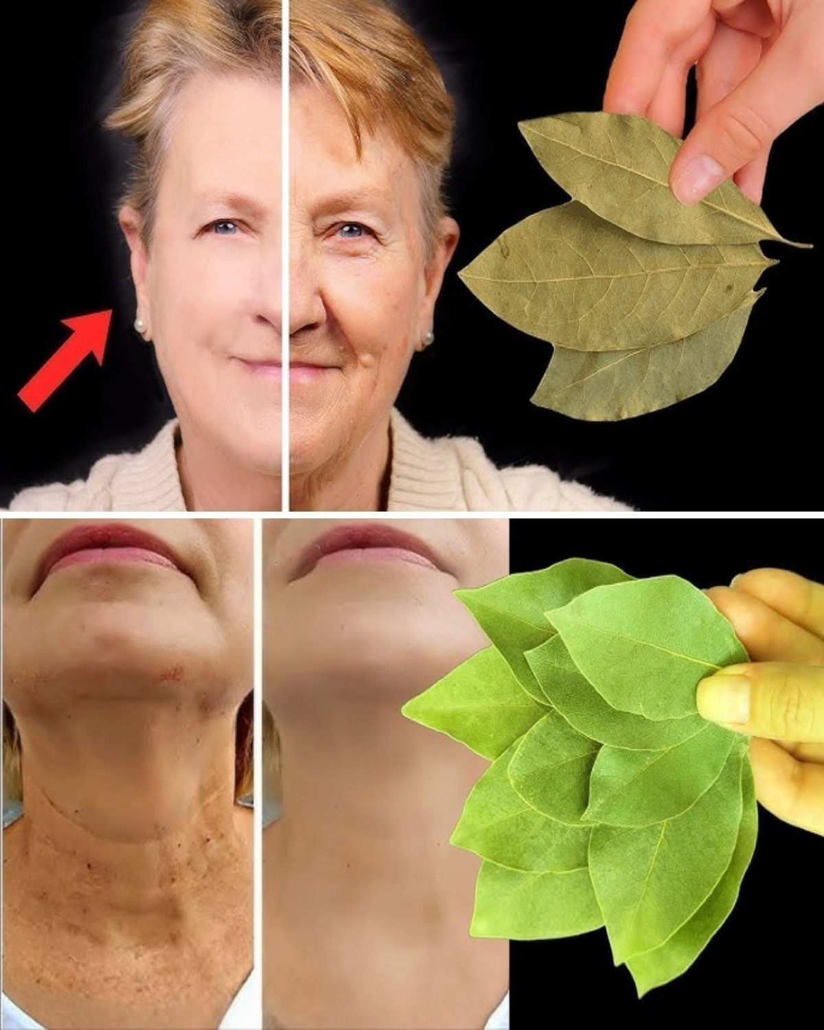 L’alloro è 100.000 volte più potente del Botox? | Un rimedio naturale contro le rughe, anche a 70 anni!