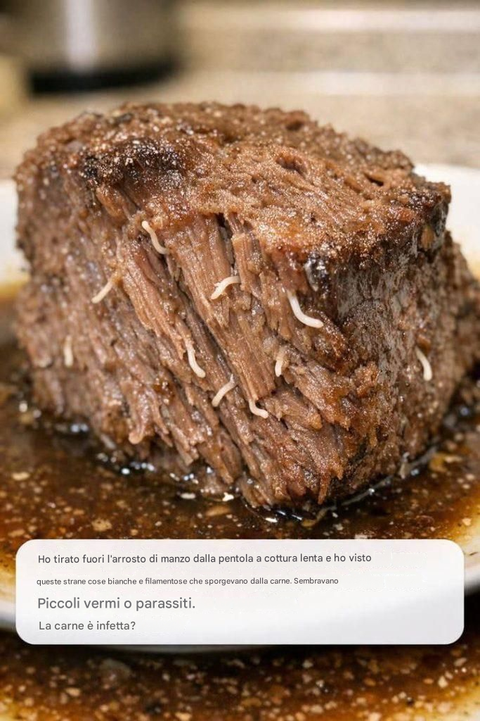 Ho tirato fuori l’arrosto di manzo dalla pentola a cottura lenta e ho notato queste strane cose bianche e filamentose che spuntavano dalla carne. Sembrano piccoli vermi o parassiti. La carne è infestata?