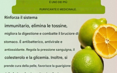 10 benefici del limone, le sue proprietà e come consumarlo