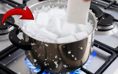 Perché riutilizzare il polistirolo è una buona idea e un’idea creativa per sfruttarlo al meglio.