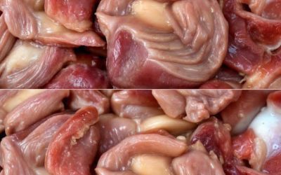 COSA SUCCEDE AL TUO CORPO QUANDO MANGI VENTRITI DI POLLO