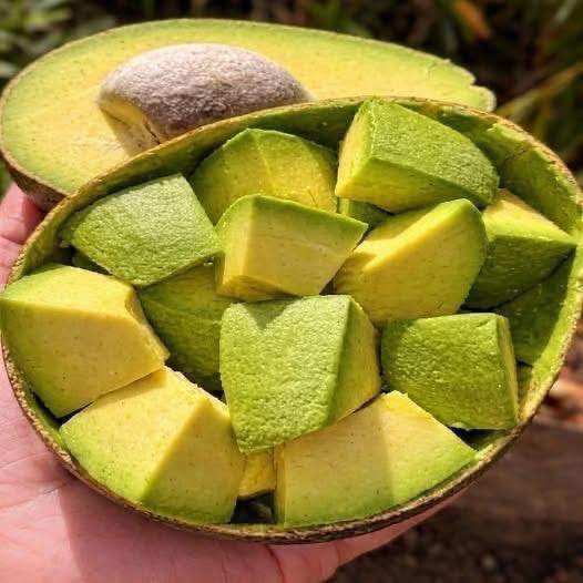 SCOPRI COSA SUCCEDE AL TUO CORPO DUE ORE DOPO AVER MANGIATO UN AVOCADO