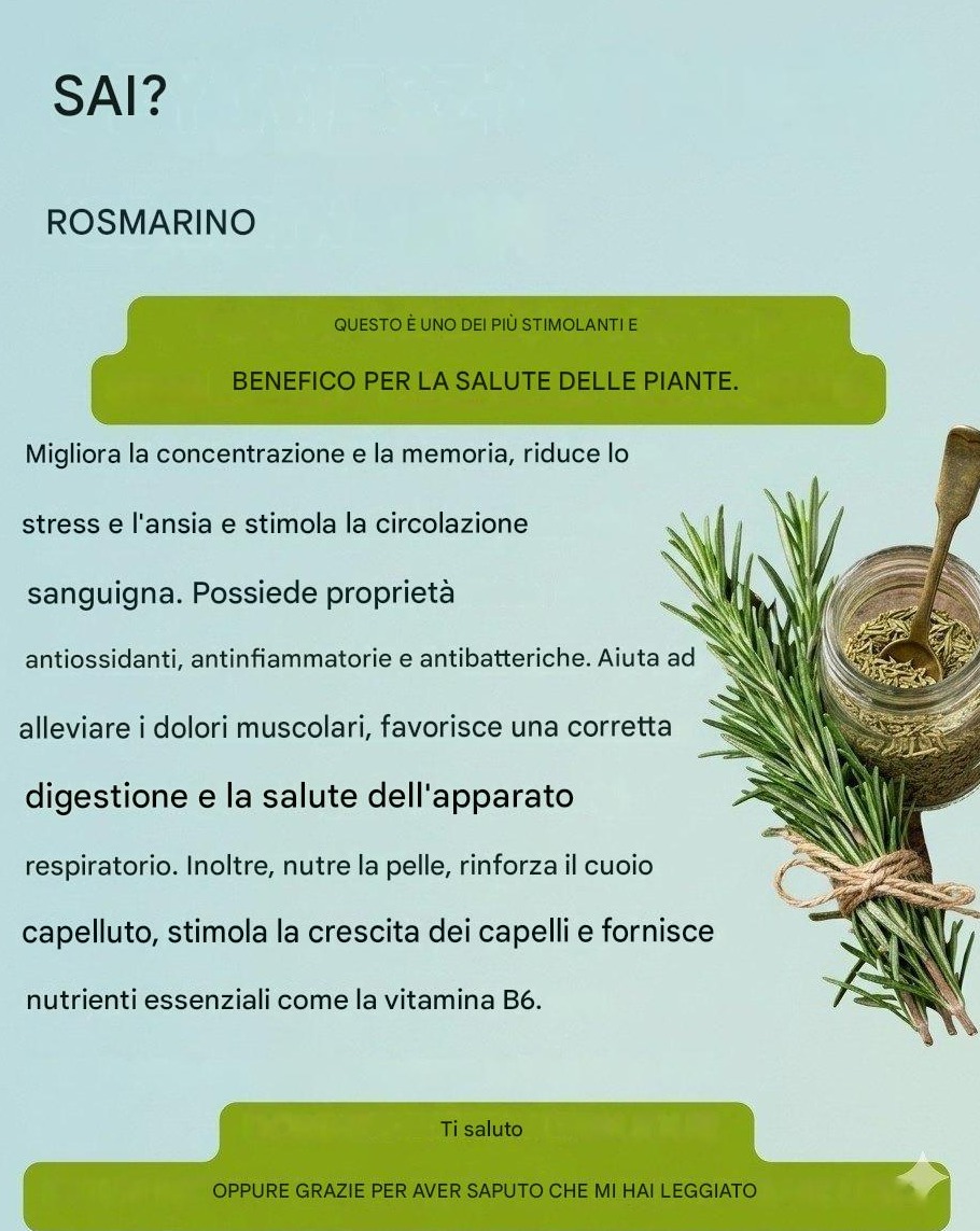 Il rosmarino e i suoi benefici per la salute