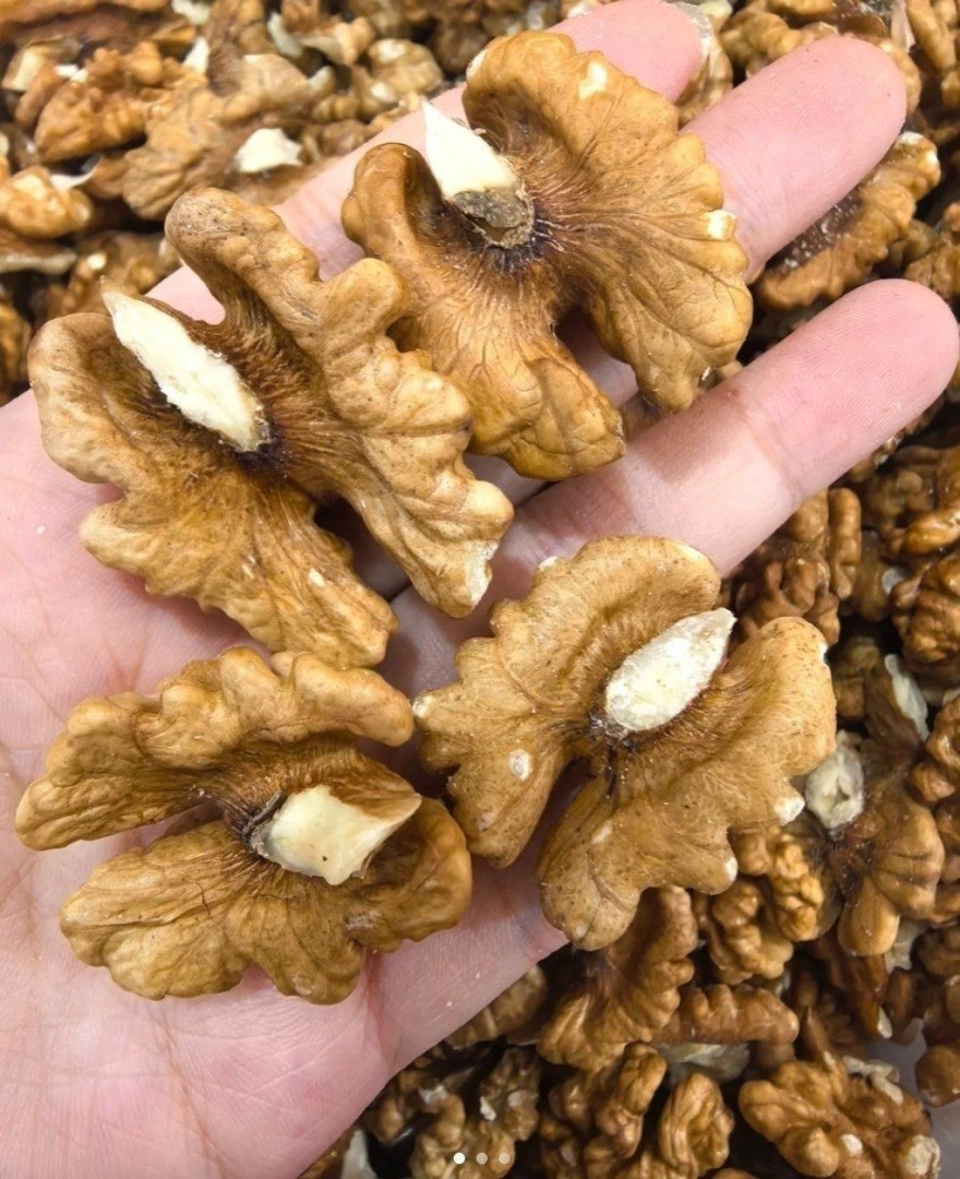 I medici rivelano che mangiare noci provoca notevoli cambiamenti nel cervello e nel corpo
