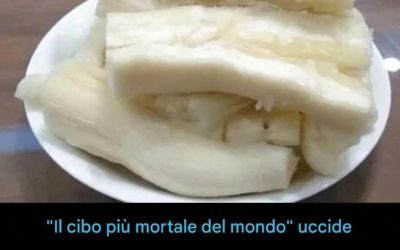Ogni anno più di 200 persone muoiono a causa del “cibo più mortale del mondo”, ma circa 500 milioni di persone continuano a consumarlo.