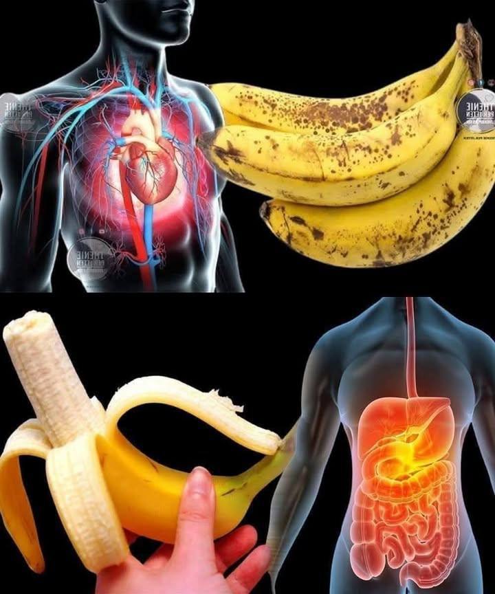Lo sapevi che mangiare banane aumenta… Vedi altro