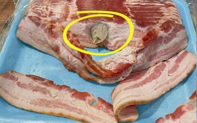 Guida alla sicurezza alimentare in cucina facile: cosa significa davvero quel pezzo strano di bacon (consigli per l’alimentazione sana e consapevolezza intelligente della preparazione dei pasti)