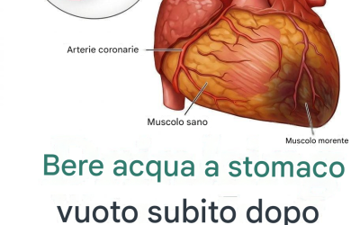 Lo sapevi che bere acqua a stomaco vuoto potrebbe essere…