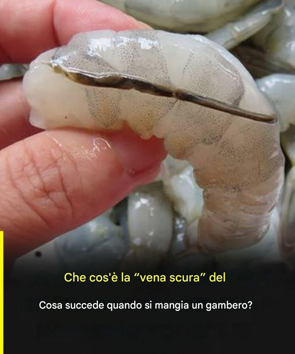 Cos’è esattamente la vena del gambero?… Scopri di più