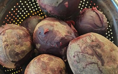I medici rivelano che mangiare barbabietole provoca… Vedi il primo commento.