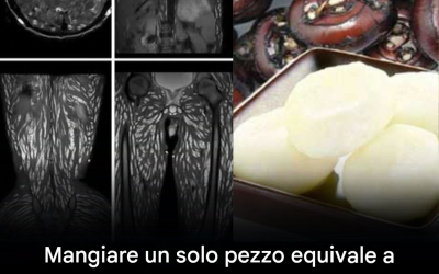 Mangiare anche un solo boccone può essere dannoso: come proteggersi dai parassiti trasmessi dagli alimenti.