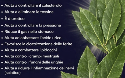 Una singola foglia di alloro bollita può trasformare la tua salute