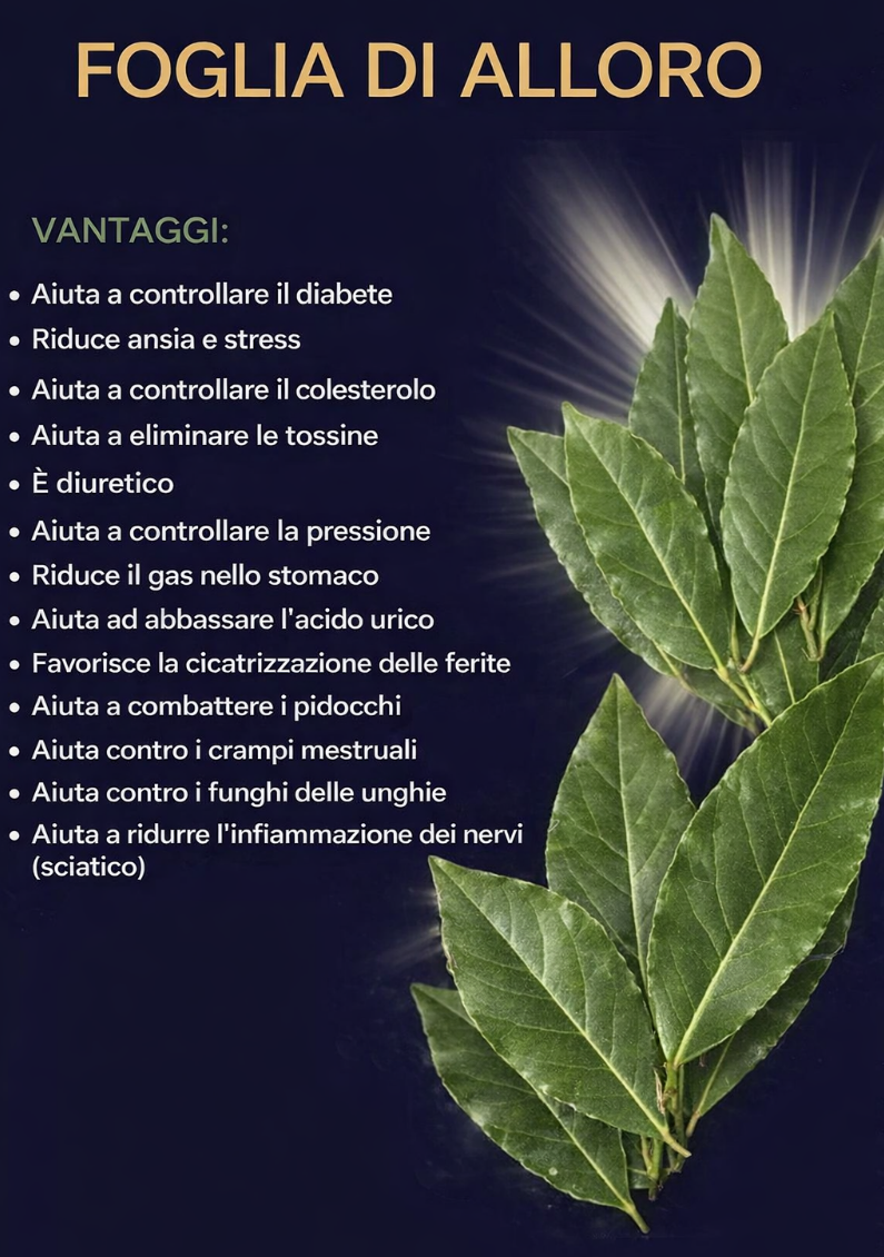 Una singola foglia di alloro bollita può trasformare la tua salute