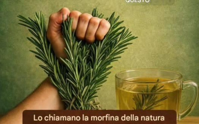 Il potere curativo del rosmarino: la “morfina naturale” che dovresti conoscere