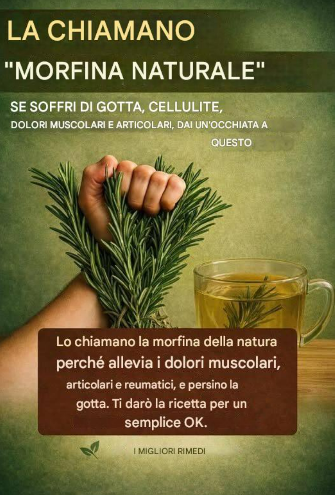 Il potere curativo del rosmarino: la “morfina naturale” che dovresti conoscere