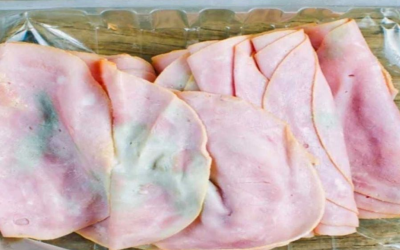 Ho tirato fuori dal frigo un po’ di affettato. Mia suocera dice che è uno spreco non usarlo, ma a me sembra una schifezza. Cosa dovrei fare?