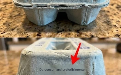 I significati segreti dei codici sulle confezioni delle uova