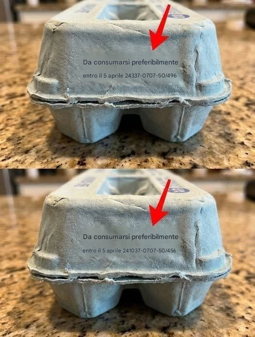 I significati segreti dei codici sulle confezioni delle uova