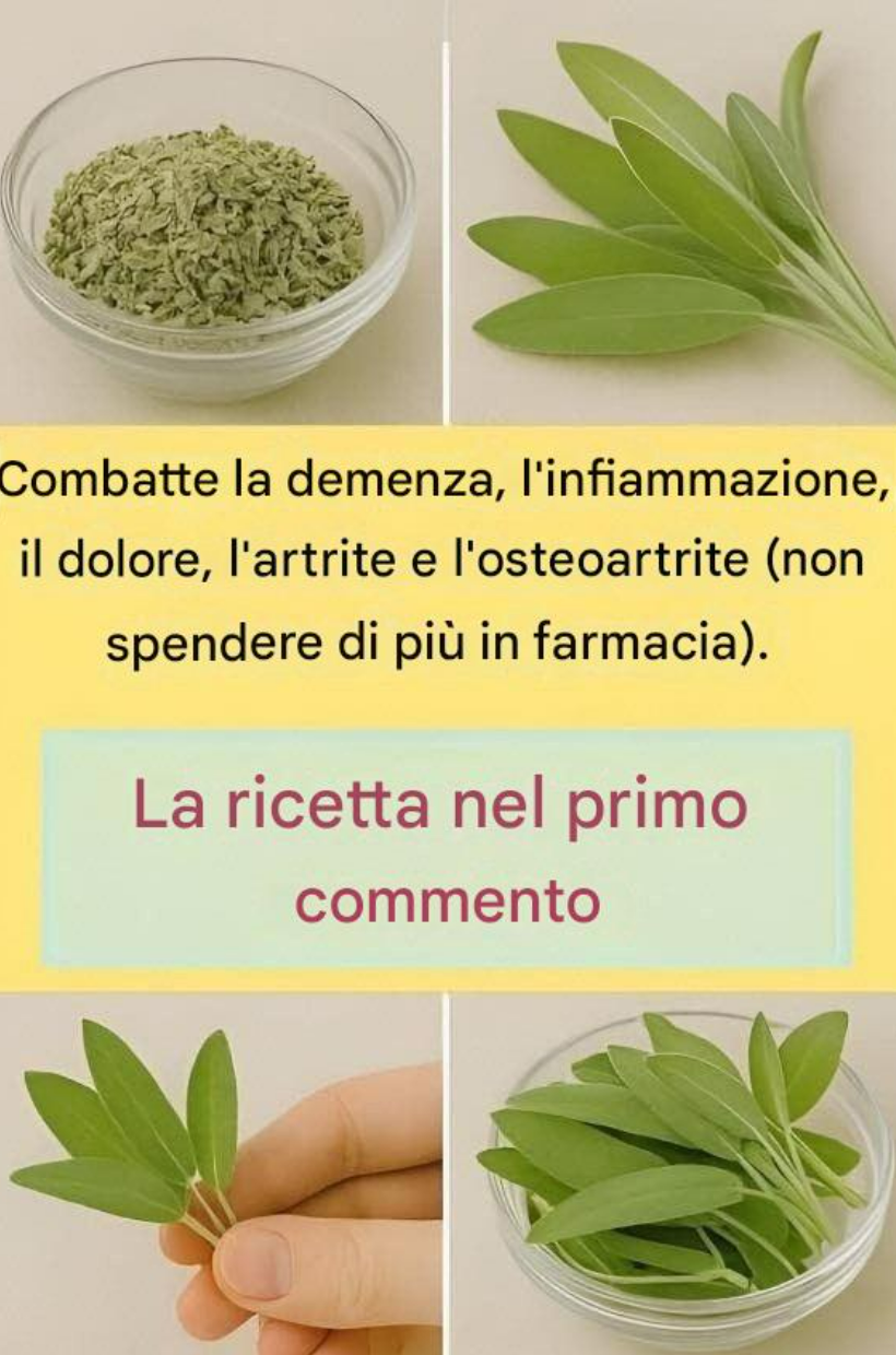 Il nopal e i mirtilli sono molto facili da usare; perdere peso con il nopal è molto semplice.
