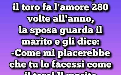 “Il cavallo lo fa 52 volte all’anno, il toro 280 e mio marito..” (1 / 2)
