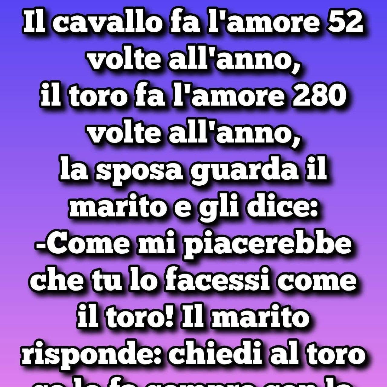 “Il cavallo lo fa 52 volte all’anno, il toro 280 e mio marito..” (1 / 2)