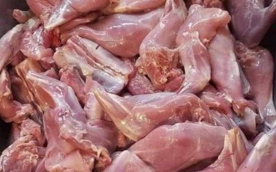 Che tipo di carne è?… 𝗽𝗹𝘂𝘀𝗼𝗻𝗼 𝗽𝗹𝘂𝘀𝗼….😨🧠 👇😨🧠 👇