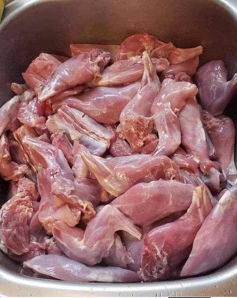 Che tipo di carne è?… 𝗽𝗹𝘂𝘀𝗼𝗻𝗼 𝗽𝗹𝘂𝘀𝗼….😨🧠 👇😨🧠 👇