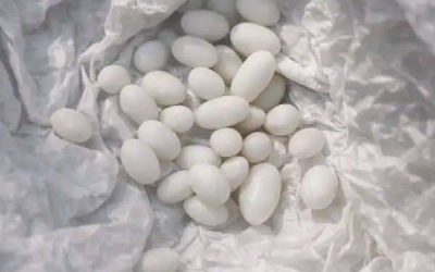 Ho trovato delle strane palline bianche nello zaino di mio figlio di 15 anni. Lui dice che sono solo caramelle, ma non gli credo