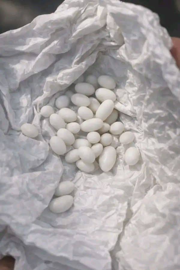 Ho trovato delle strane palline bianche nello zaino di mio figlio di 15 anni. Lui dice che sono solo caramelle, ma non gli credo