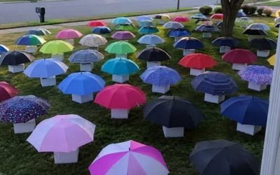 Mio figlio ha dato il suo ombrello a una sconosciuta incinta sotto la pioggia – la mattina dopo, 47 ombrelli sono comparsi sul nostro prato, ognuno con una scatola numerata che mi ha fatto fermare il cuore