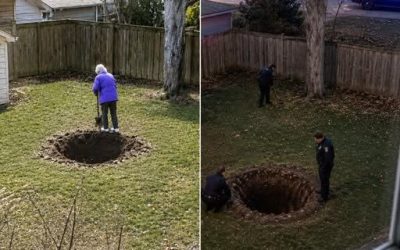 Il mio vicino scavava buche nel suo giardino ogni fine settimana, poi una mattina è arrivata all’improvviso la polizia.