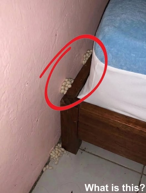 La sera, dopo una lunga giornata di lavoro, tornavo a casa stanco, sperando di dormire un po’ e riposarmi.