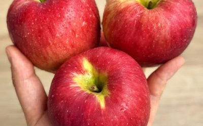 I medici rivelano che mangiare mele regolarmente può trasformare la tua salute: da una digestione più efficiente e un colesterolo più basso a una migliore funzionalità cardiaca, intestinale e immunitaria. Scopri cosa succede se fai delle mele un’abitudine quotidiana.