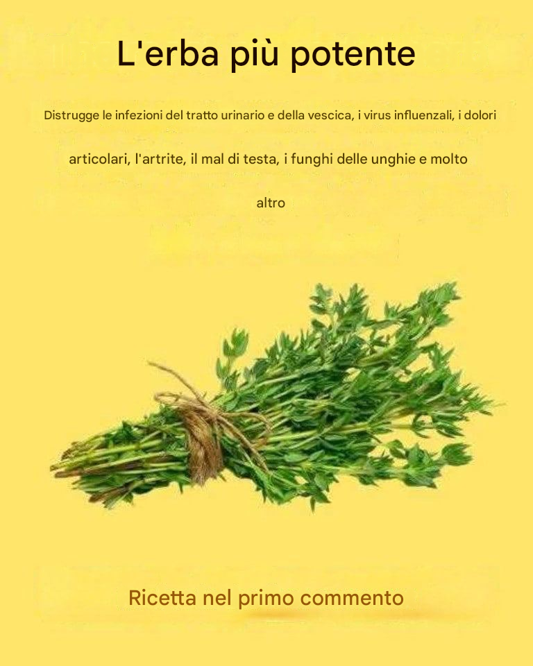L’ERBA PIÙ POTENTE PER DISTRUGGERE I PARASSITI DELLE VIE URINARIE