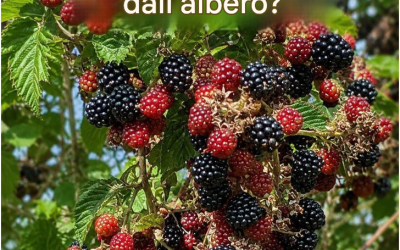 E se lo fai, sarai in grado di farlo in
