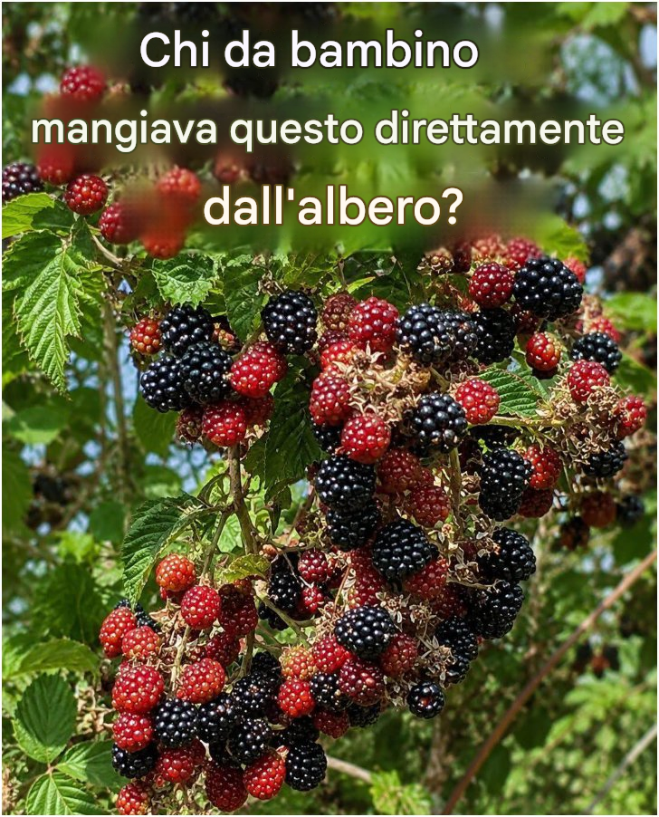 E se lo fai, sarai in grado di farlo in