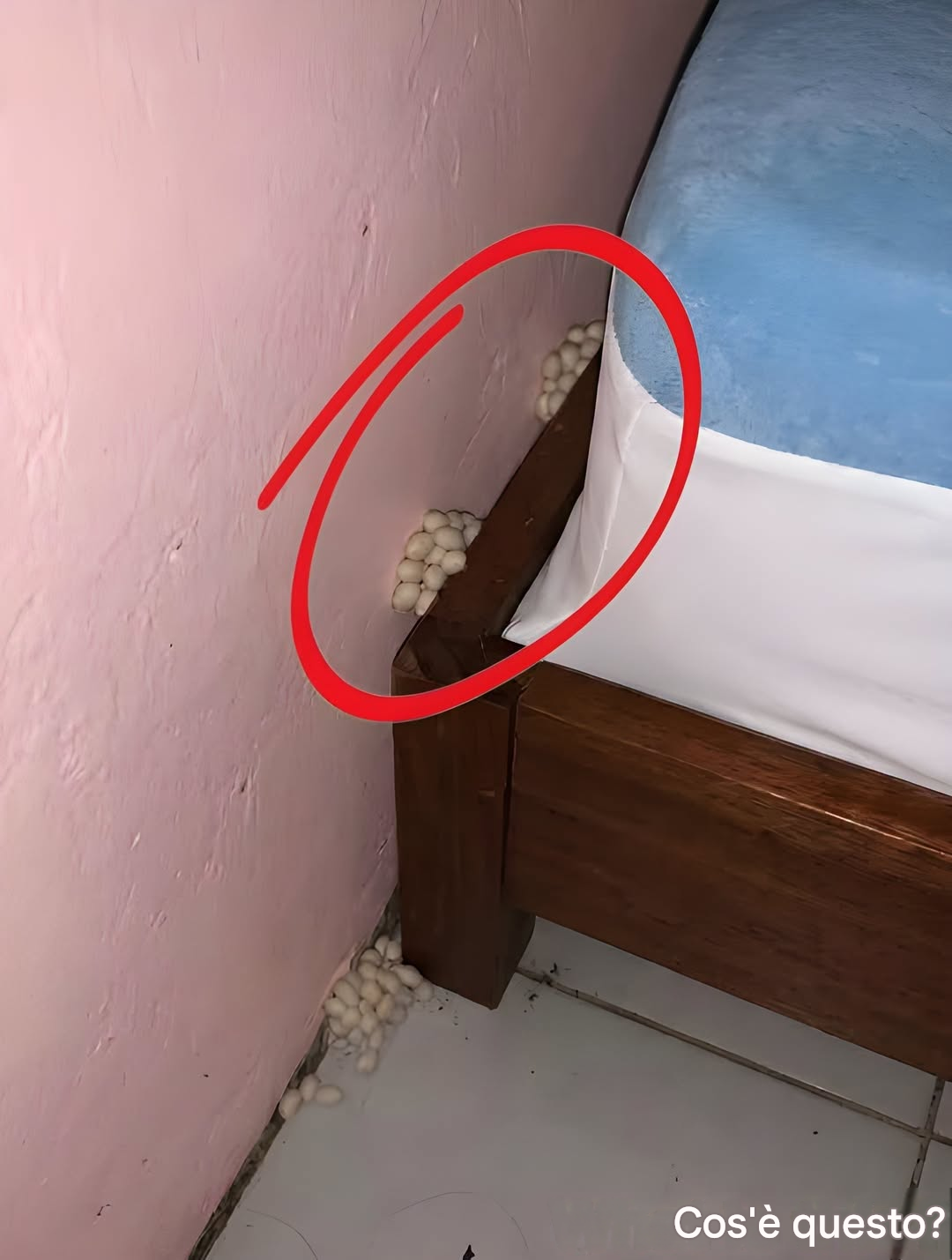 Sono tornato a casa esausto aspettandomi una notte tranquilla, ma qualcosa non mi convinceva.