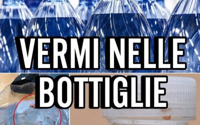 “Contiene vermi”; l’allarme poco fa. Attenzione a non consumare queste bottiglie d’acqua (1 / 2)